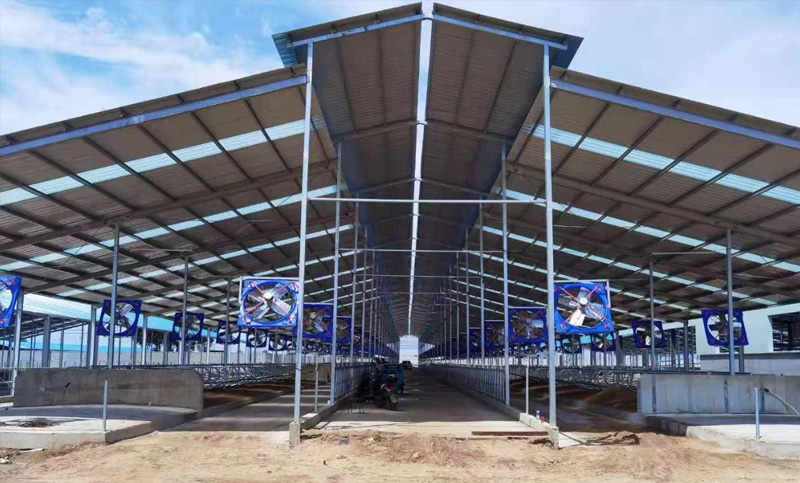 Steel Structure Buildings