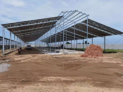 cow farm steel structure shed